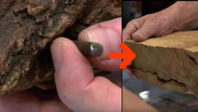 A văzut un cui uriaș într-un buștean, așa că a luat toporul și e incredibil ce a descoperit 