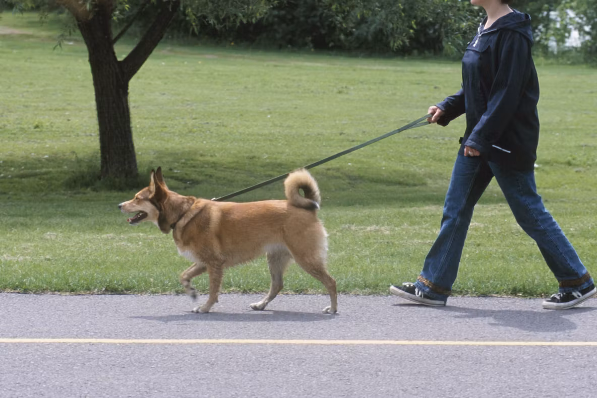Meseria care câştigă tot mai mult teren şi în România