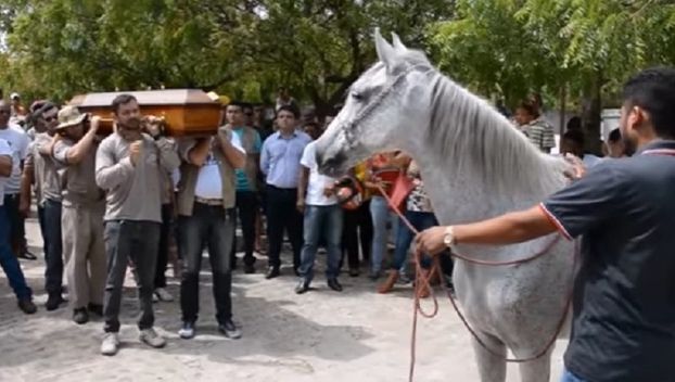 Scene şocante surprinse la o înmormântare! Ce a făcut calul defunctului când s-a apropiat de sicriu