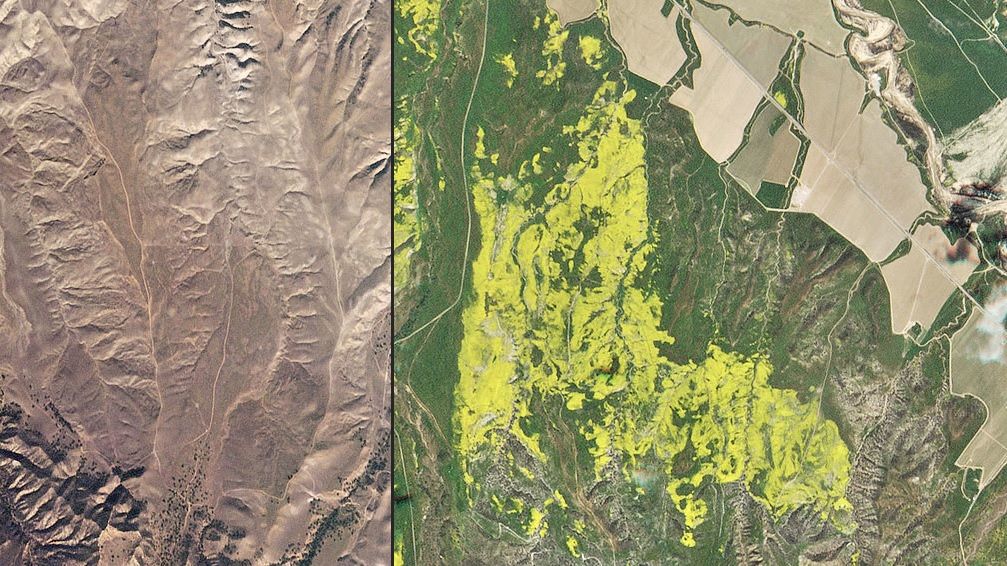 Fenomen rar în California. Imagini senzaționale surprinse prin satelit