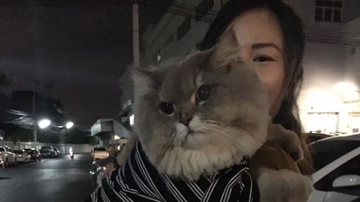 Este cel mai mare din lume! Toți vor să se fotografieze cu el