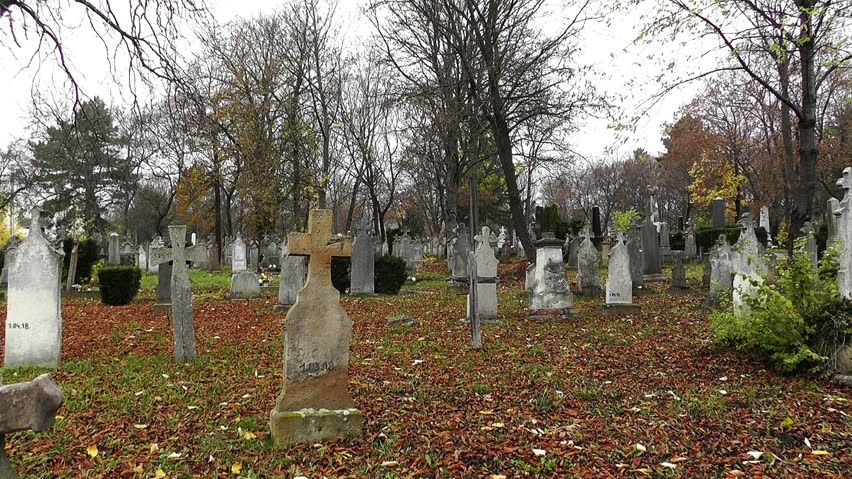 Bebeluşul a fost îngropat într-un cimitir. După câteva zile, nişte sunete s-au auzit din pământ.Şoc!