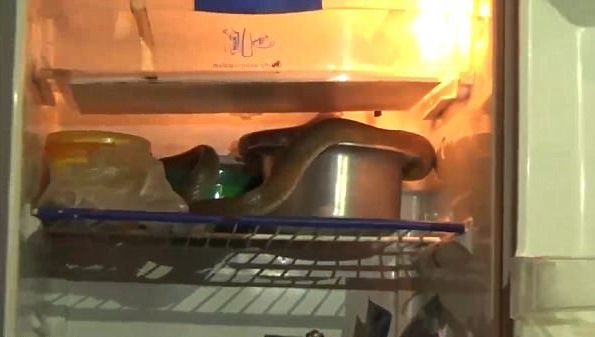 ÎNFIORĂTOR! S-a dus la frigider pentru o gustare și, când a deschis ușa, a găsit mostruozitatea