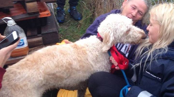 S-a îmbarcat în avionul greșit și s-a pierdut de stăpână. Ce s-a întâmplat după, este de necrezut