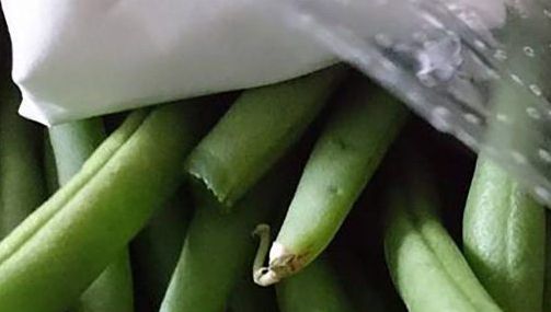 A cumpărat o pungă cu legume congelate. A încremenit când a văzut ce mai conținea aceasta