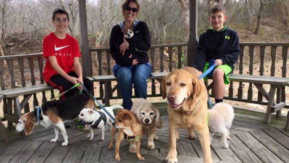 Moartea câinelui lor i-a determinat să construiască un azil pentru câini bătrâni și bolnavi