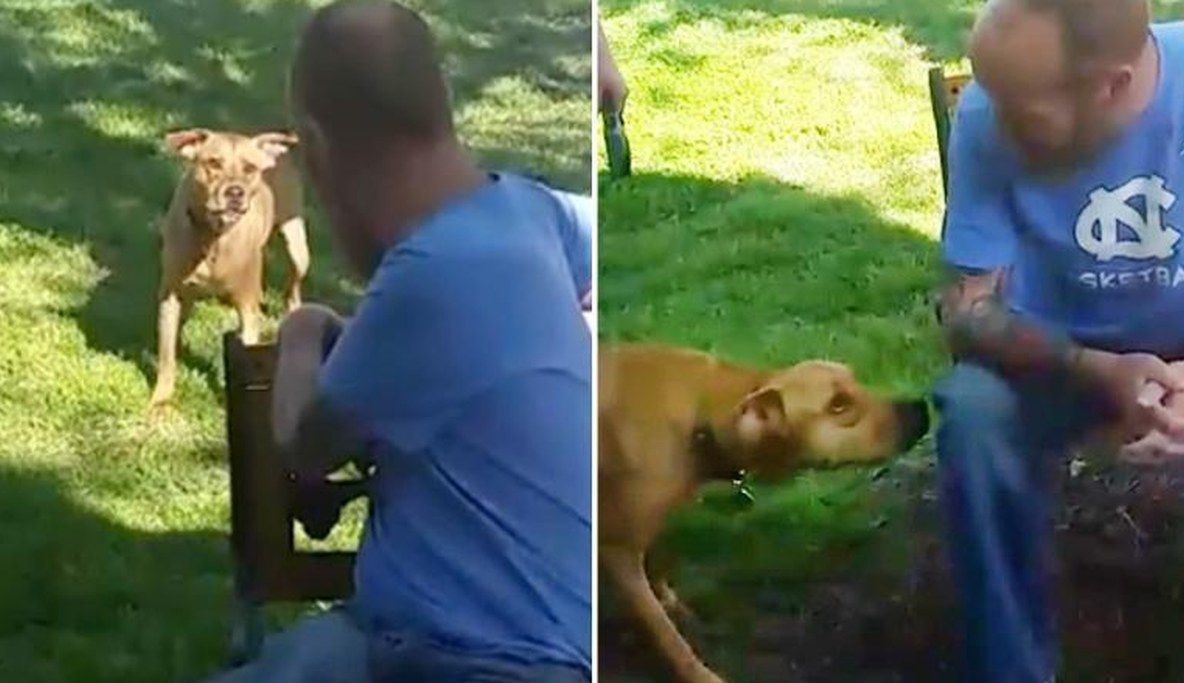 Transformare șocantă după ce a slăbit. Ce reacție incredibilă a avut câinele când l-a văzut