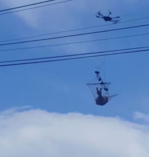 Și-a prins un hamac de dronă și s-a culcat în el. Imagini uluitoare 