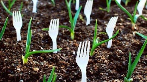 A înfipt în pământ o mulţime de furculiţe de unică folosinţă, cu dinţii în sus. Truc genial  