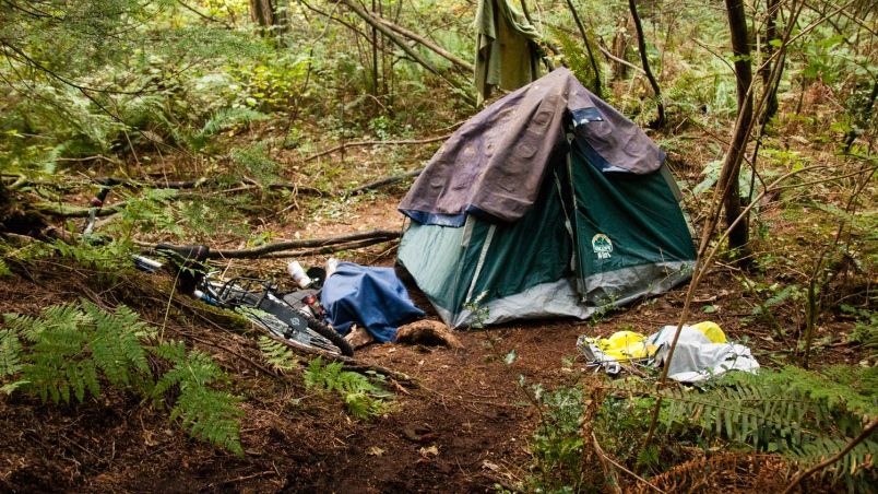 Locuia într-un apartament de lux, dar acum doarme în parc. Povestea tragică a unei femei bogate