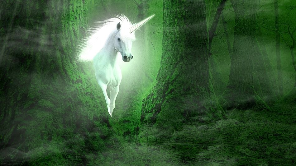 A fost descoperit un unicorn în Islanda