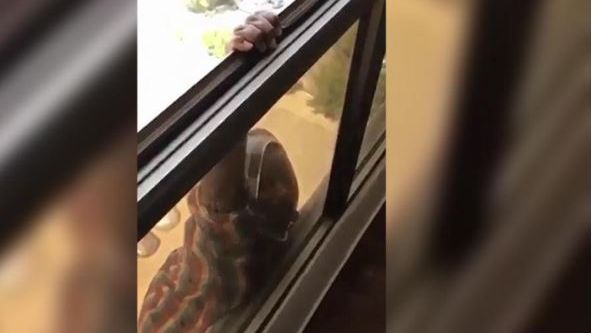 Sclavagism modern în Kuwait. Până unde poate merge exploatarea celor săraci