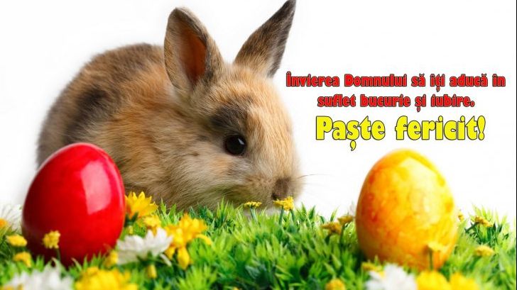 Cele mai frumoase mesaje de PAŞTE, cu care să-i surprinzi pe cei dragi