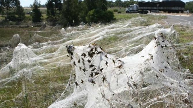 De coșmar! Noua Zeelandă arată ca după o catastrofă biblică