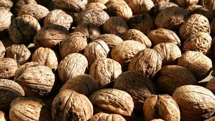 A băgat nucile la congelator şi le-a scos după o lună! Vei face şi tu asta imediat