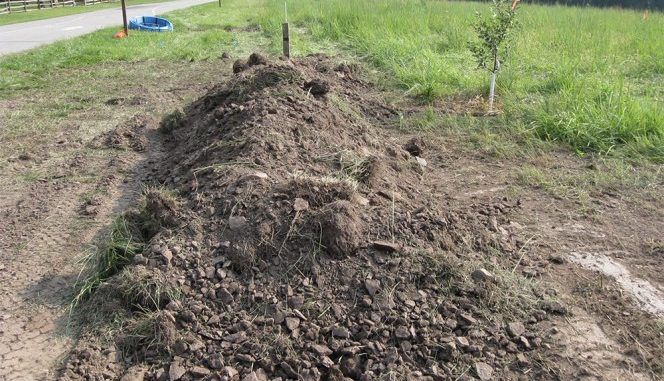 Se plimbau la munte, când au auzit un sunet ciudat venit dintr-un morman de pământ 