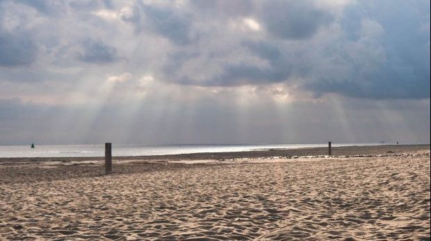 A găsit o sticlă cu un mesaj în ea, pe plajă. Curios, l-a citit. A încremenit