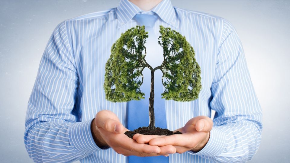 Cum să ai plămâni sănătoși. Află ce să eviți pentru a-ți păstra vitalitatea 