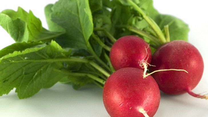 "Vă rup frunzele?". Când luăm ridichi auzim mereu asta. Spune "Nu". Sunt aur pentru sănătate