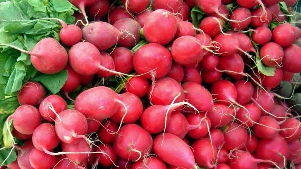 Farmacia verde. Ridichile, cel mai bun medicament de primăvară. Alungă zeci de boli!