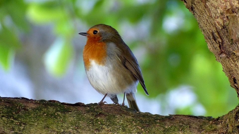 A cerut un semn la mormântul fiului ei. Apoi s-a întâmplat ceva miraculos