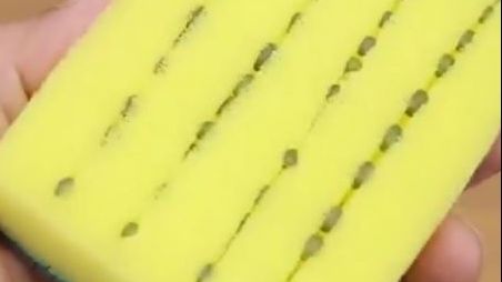 Pune semințe de spanac într-un burete. E surprinzător ce se va întâmpla în câteva zile 