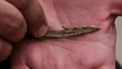 Mai vechi decât piramidele egiptene! Descoperire uluitoare în America de Nord