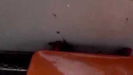 Plouă afară, plouă și în tramvai! Imagini surprinse într-un mijloc de transport din capitală