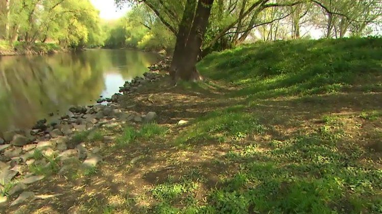 Şocant! Tânără violată de un imigrant de faţă cu iubitul ei 