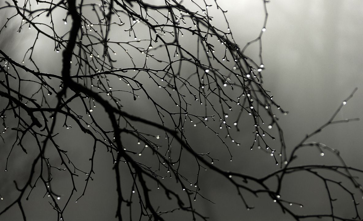 Vremea devine deosebit de rece. Care vor fi temperaturile și unde va ploua marți și miercuri