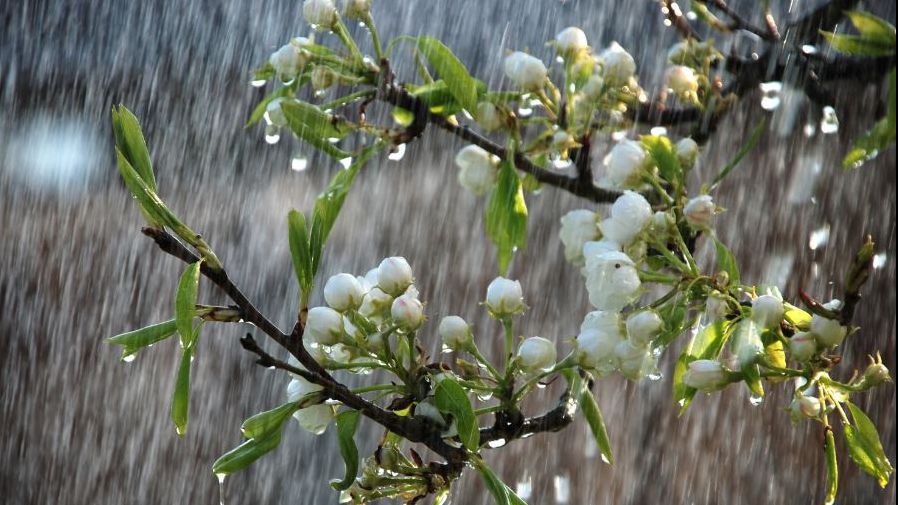 ALERTĂ METEO! Atenţionare de ploi, vijelii şi căderi de grindină! Ce zone sunt vizate