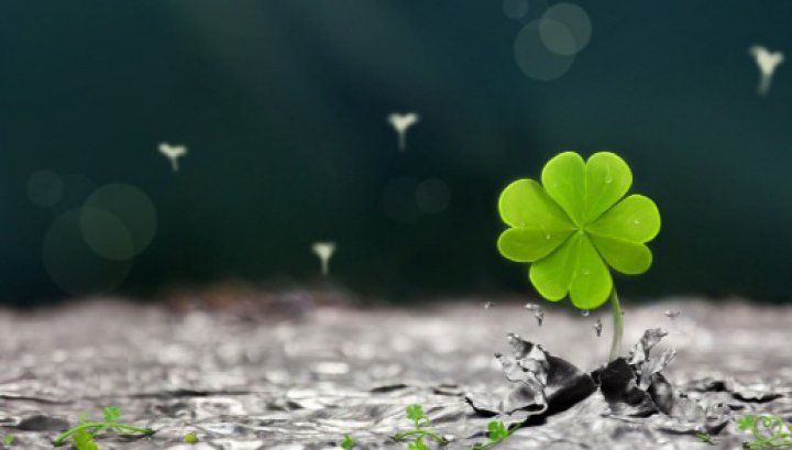 3 zodii care se îmbogăţesc peste noapte în luna mai! Le pică banii din cer!