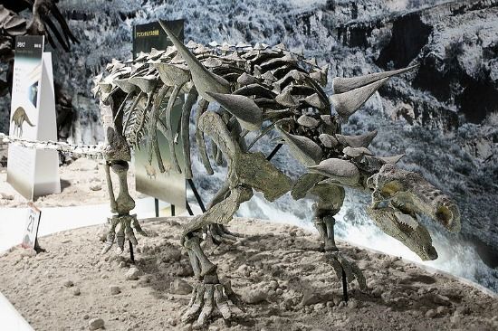 Minerii au coborât în subteran, pentru cărbune.Au săpat şi.. ŞOC!Ce au găsit.Era acolo de mii de ani