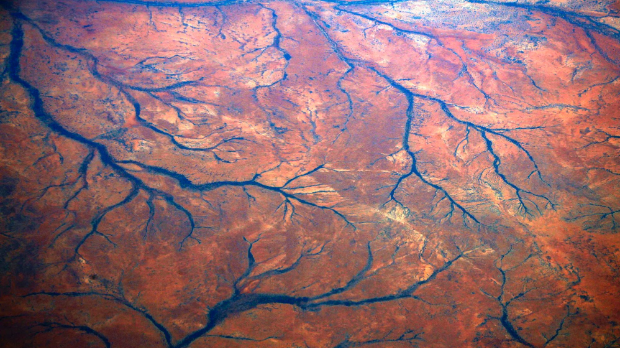 Descoperirea care schimbă tot ce știam despre originea vieții