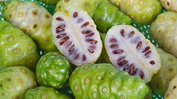 Ce este, de fapt, NONI. E supranumit fructul zeilor