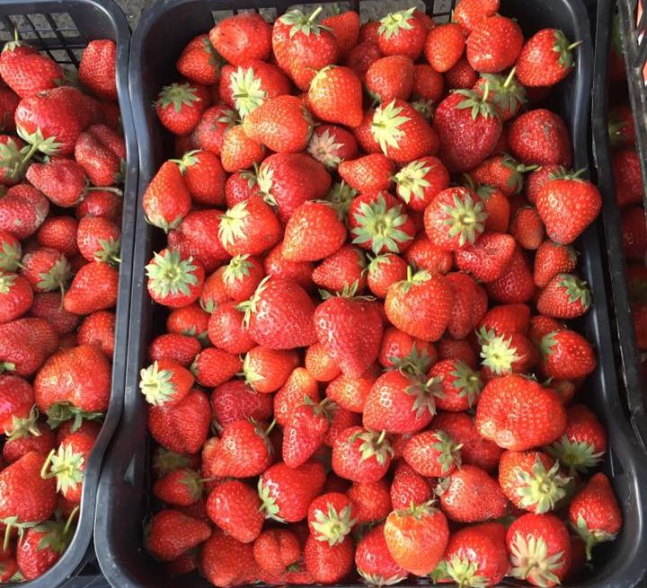 Afaceri de sezon! Cu cât se vinde 1 kilogram de căpşune la piaţa de en-gros 