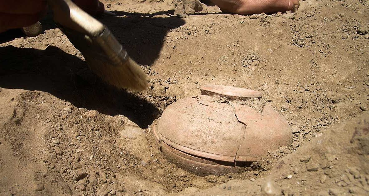 Au găsit o oală de lut, veche de 800 ani. Înăuntru, seminţe. Le-au plantat şi..ŞOC! Ce a răsărit