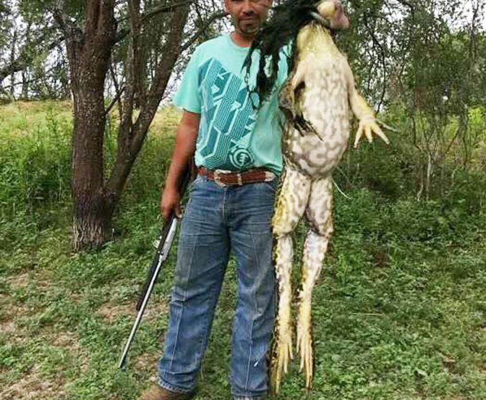 Un bărbat se mândreşte că a prins o broască uriaşă. Care este adevărul din spatele imaginilor?