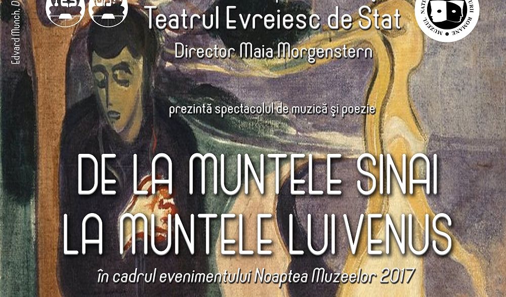 Spectacole de poezie și muzică la NOAPTEA MUZEELOR 2017