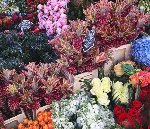 Toată lumea-l cumpără. Cum arată ananasul roz care face furori pe Facebook