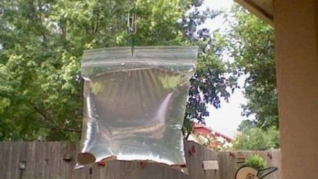 Agață în fața geamului o pungă cu apă și monede. Efectul e genial. Tot mai mulți fac asta