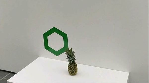 A uitat un ananas într-o galerie de artă. Ce s-a întâmplat a doua zi? Râzi cu lacrimi