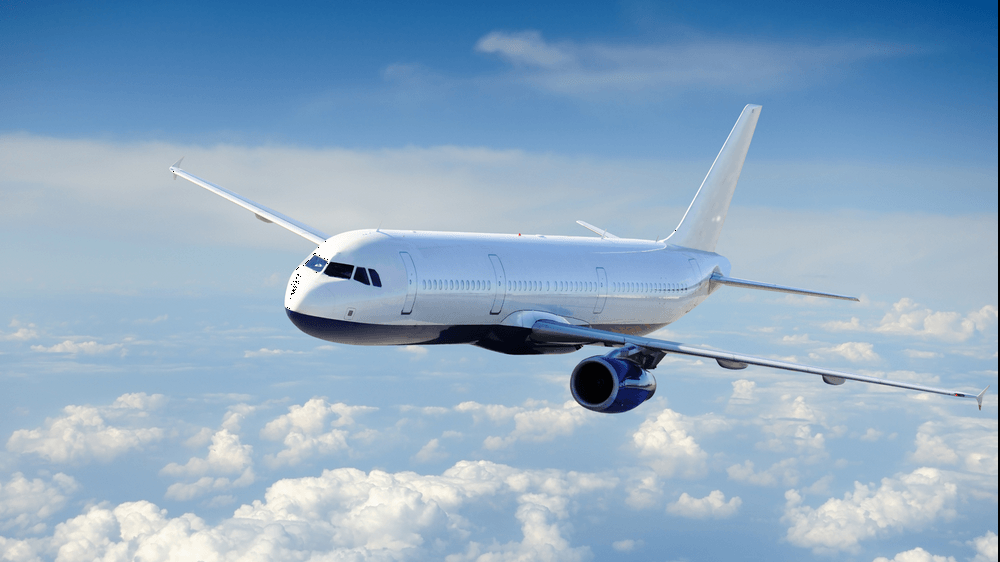 Surpriză într-un avion. Pasagerii au râs cu lacrimi când au văzut cine călătorește alături de ei