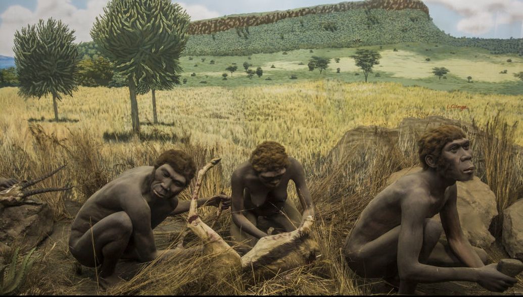 Descoperirea care schimbă TOT: omul a apărut în Europa