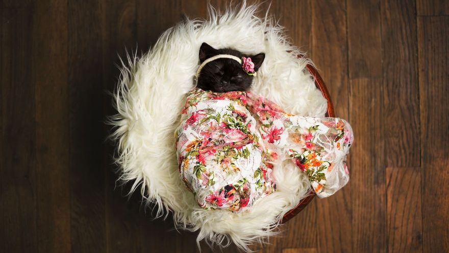 Un alt fel de bebeluș face furori pe Internet. Vezi ce ședință foto a realizat acest fotograf