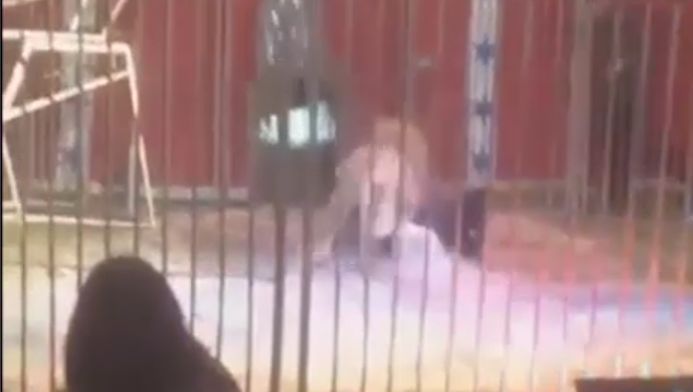 Momentul în care dresorul unui circ este ATACAT de un leu. Imaginile sunt horror!