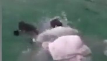 A sărit în apă pentru a face o poză cu soțul ei! Ce a urmat este CUTREMURĂTOR