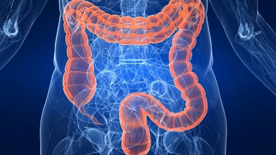 "Dacă acest parazit este distrus, evoluţia cancerului se va opri imediat"