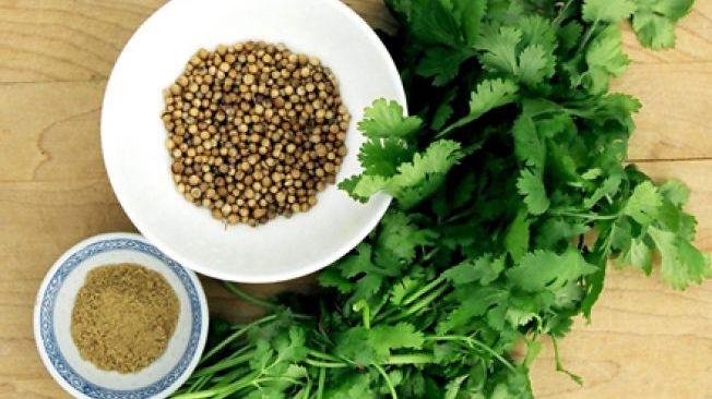 Coriandrul. Cinci beneficii pentru sănătate