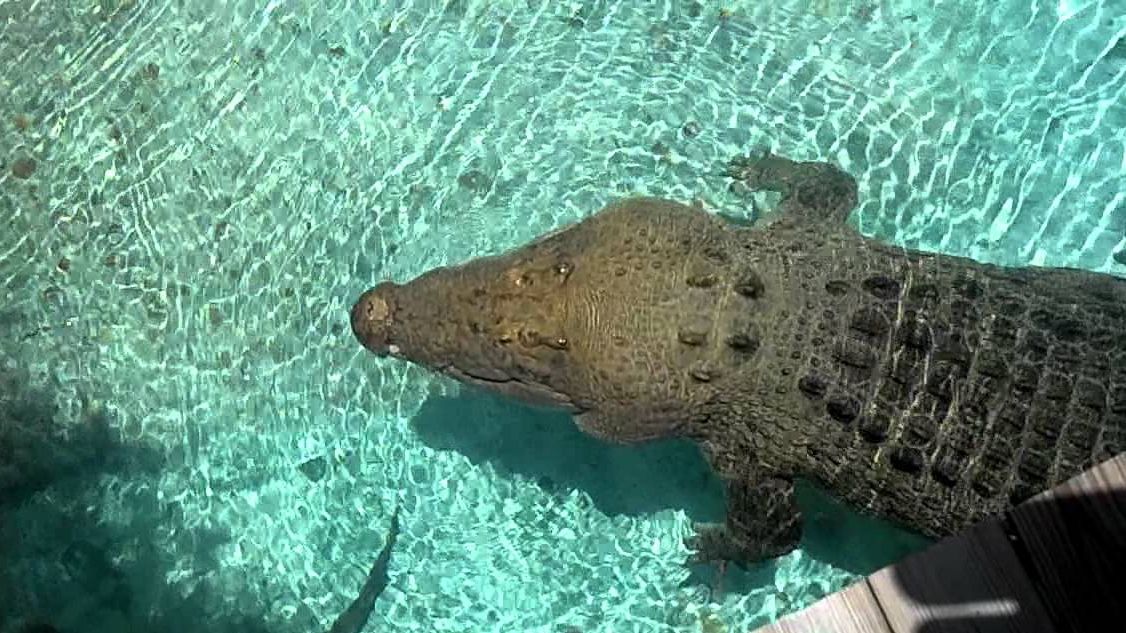 Un preot din Zimbabwe a crezut că poate să meargă pe apă "ca Iisus". Este șocant ce a pățit